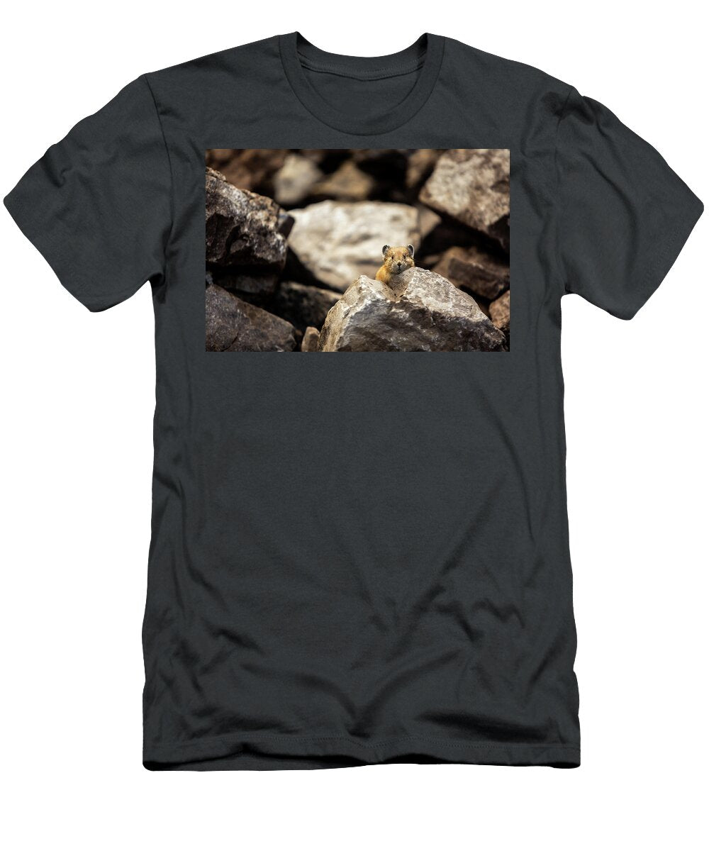 Curious Pika Dan Towsley T-Shirt