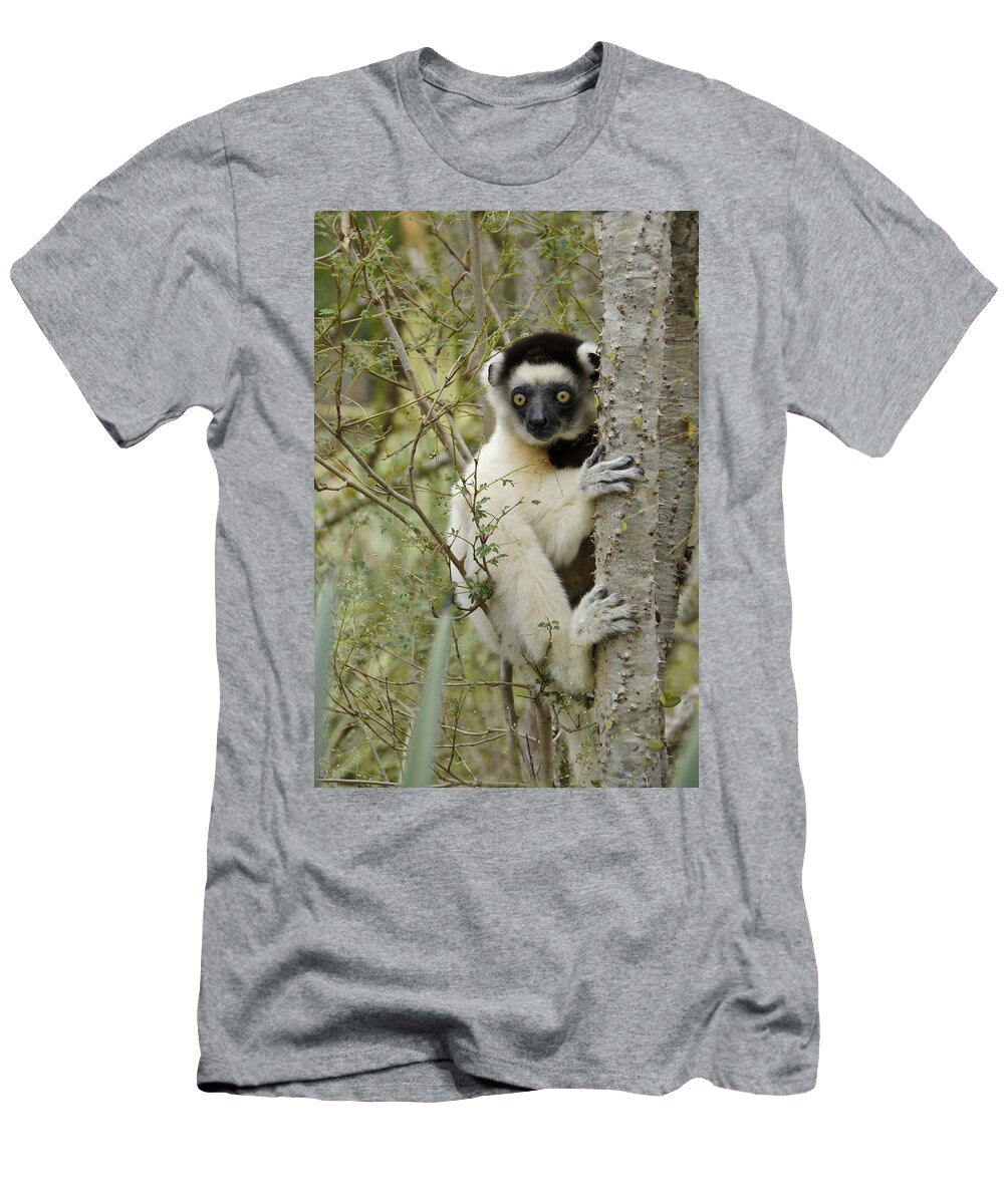 Curious Sifaka 1 Michele Burgess T-Shirt