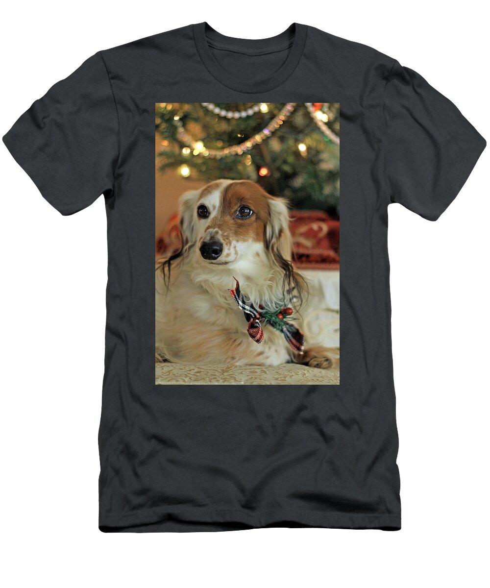 Dachshund Christmas Sharon Madison Bastianelli T-Shirt