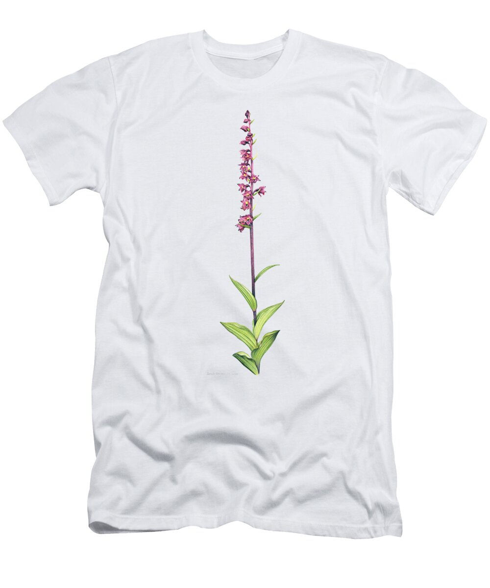 Dark Red Helleborine Orchid Sarah Stribbling T-Shirt