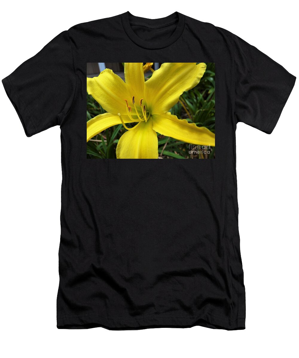 Day Lily Cat Pancake T-Shirt
