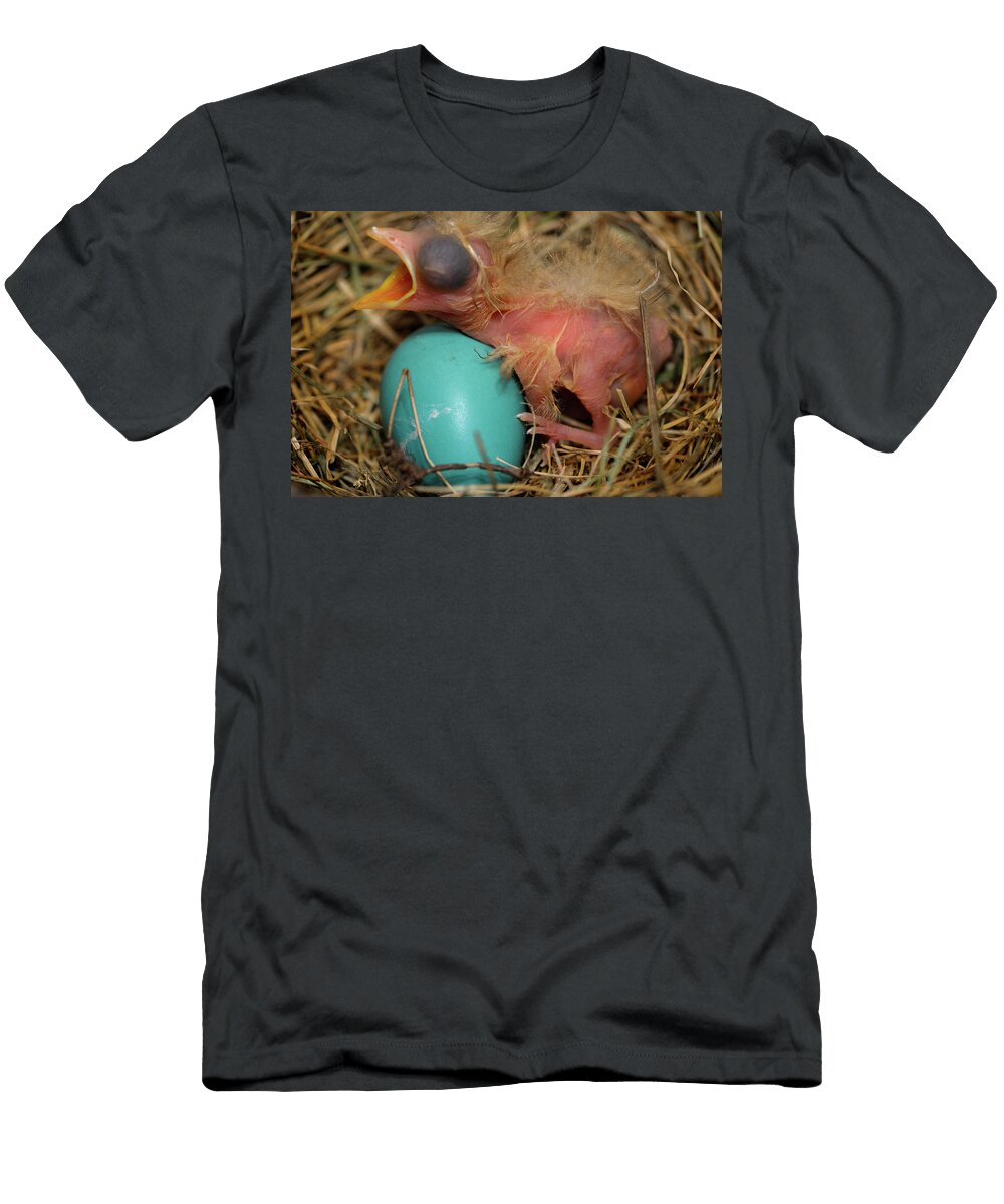 Day Old Hatchling Robin in Nest Lying Over a Blue Egg with Mouth Reimar Gaertner T-Shirt