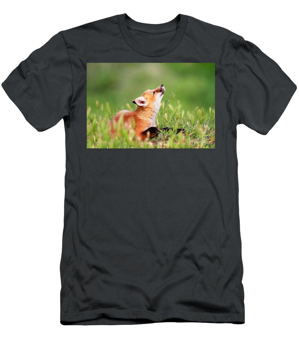 Daydreamer Julie Argyle T-Shirt