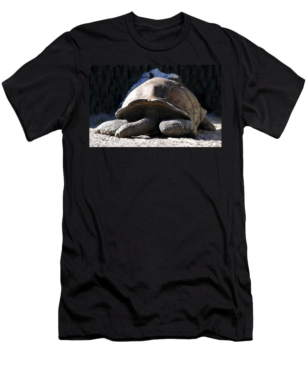 Dead Tired David Lee Thompson T-Shirt