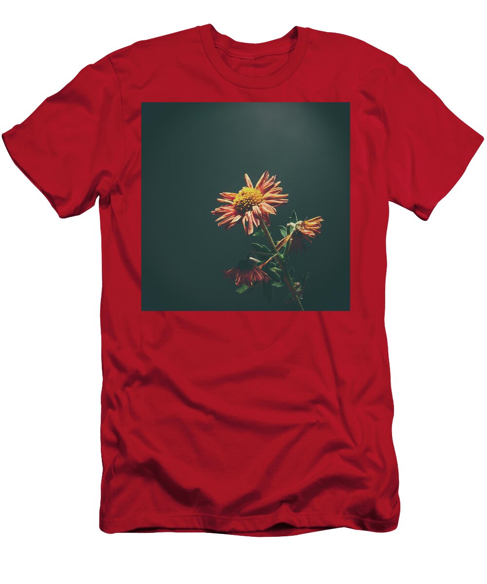 December Wildflower Scott Norris T-Shirt