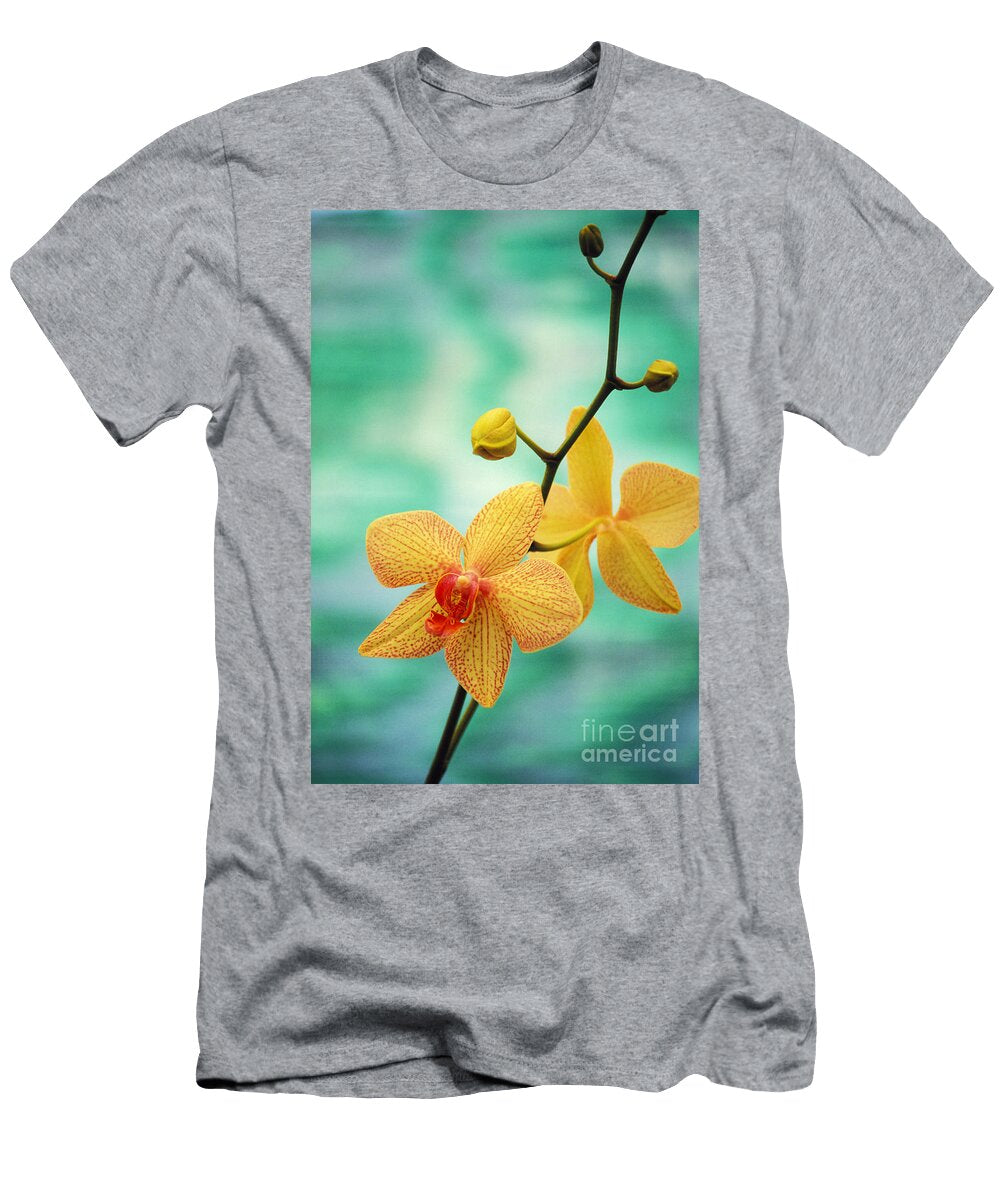 Dendrobium Allan Seiden T-Shirt
