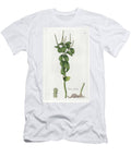 Dense Foliage Peperomy Variete European School T-Shirt