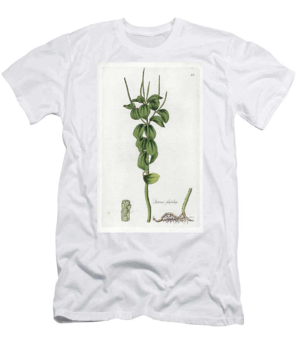 Dense Foliage Peperomy Variete European School T-Shirt