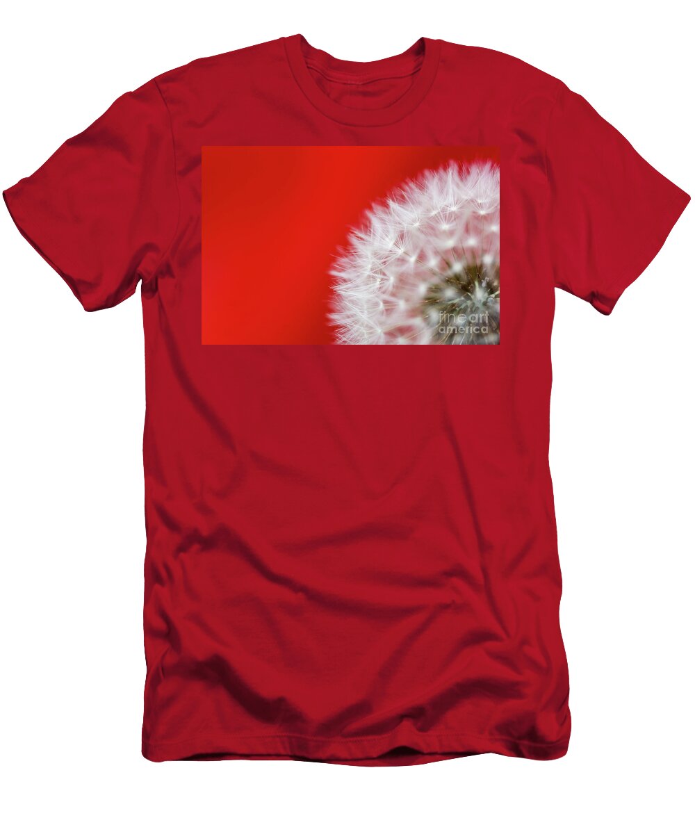 Dent De Lion Nando Lardi T-Shirt