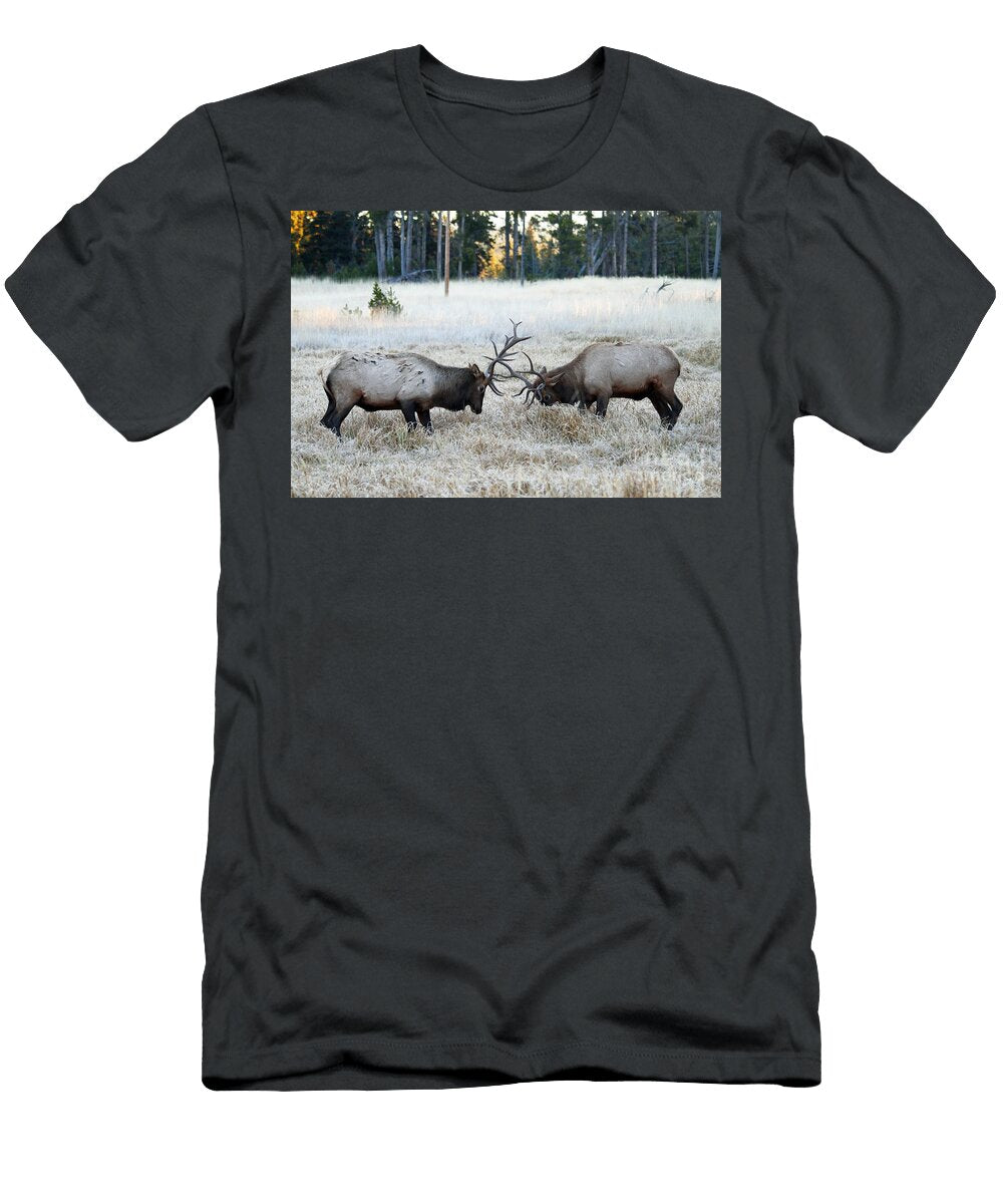 Deuces Wild Julie Argyle T-Shirt