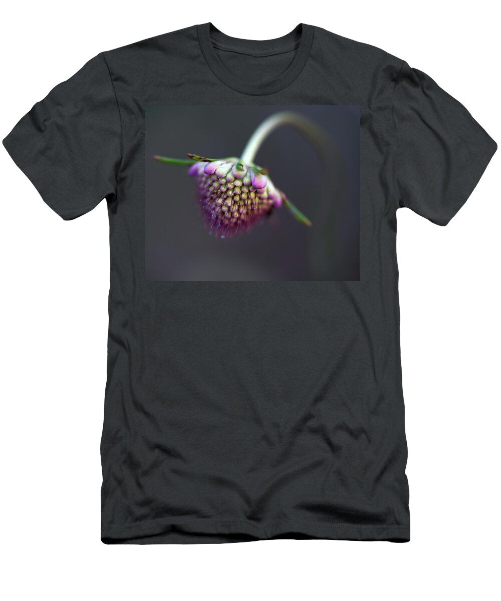 Devils Bit Scabious Macrophotography Parakrytous P T-Shirt