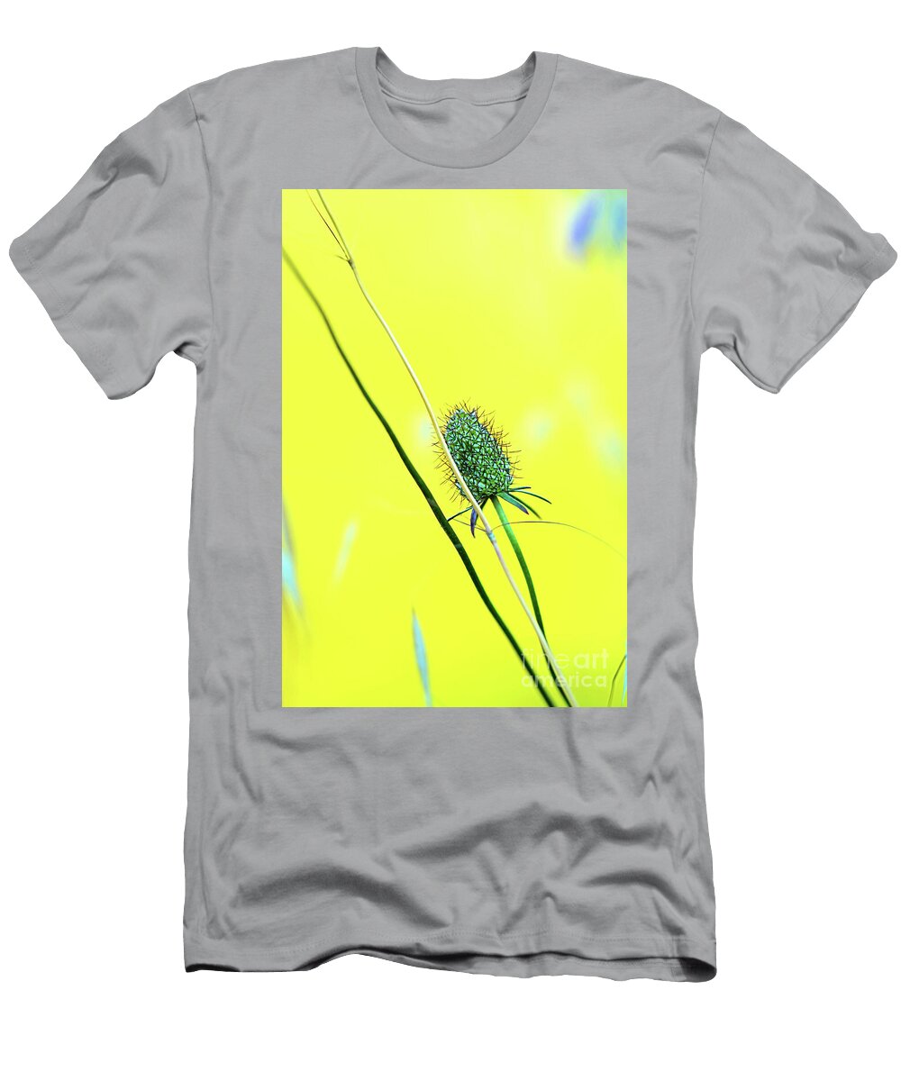 Devils Bit Scabious Within a Yellow Afternoon Parakrytous P T-Shirt