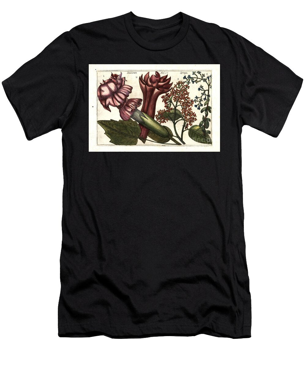 Devils Trumpet Datura Stramonium 12 and Lilac Syringa Vulgaris 34 European School T-Shirt