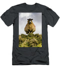 Devonshire Ewe Jonathan Kirby T-Shirt
