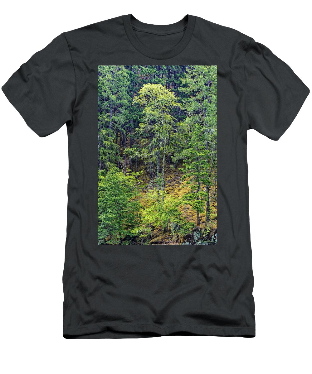 Diablo 8 24 021 Mike Penney T-Shirt