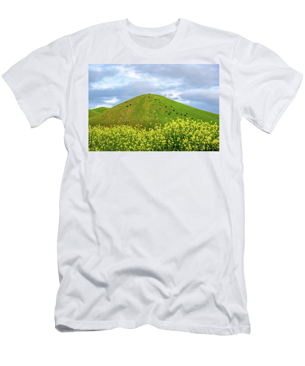 Diablo California Hills Cows LA Rae Roberts T-Shirt