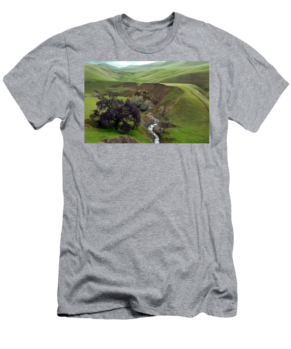 Diablo Creek and Valley Central California Michael Beiriger T-Shirt