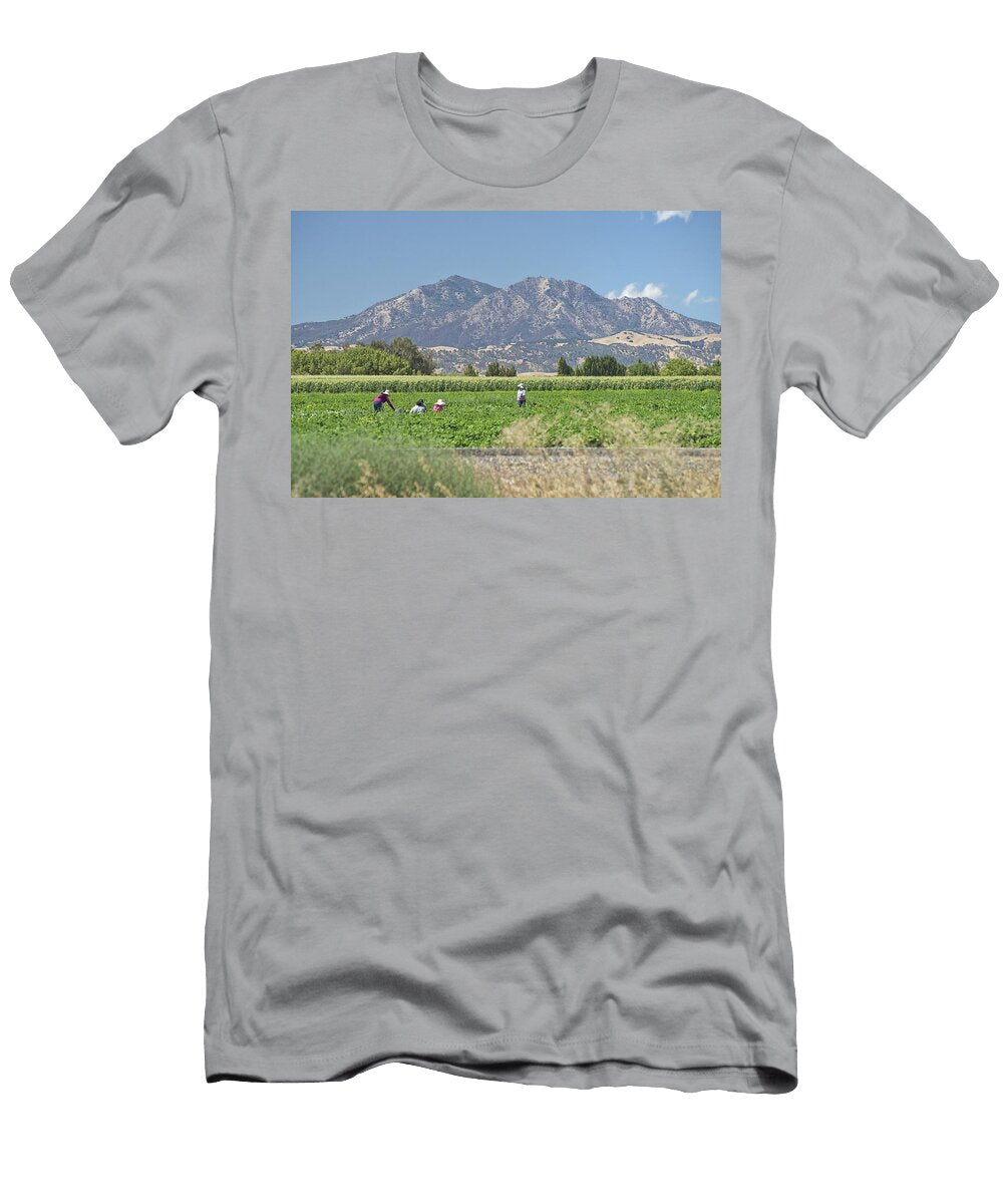 Diablo Harvest Robin Mayoff T-Shirt