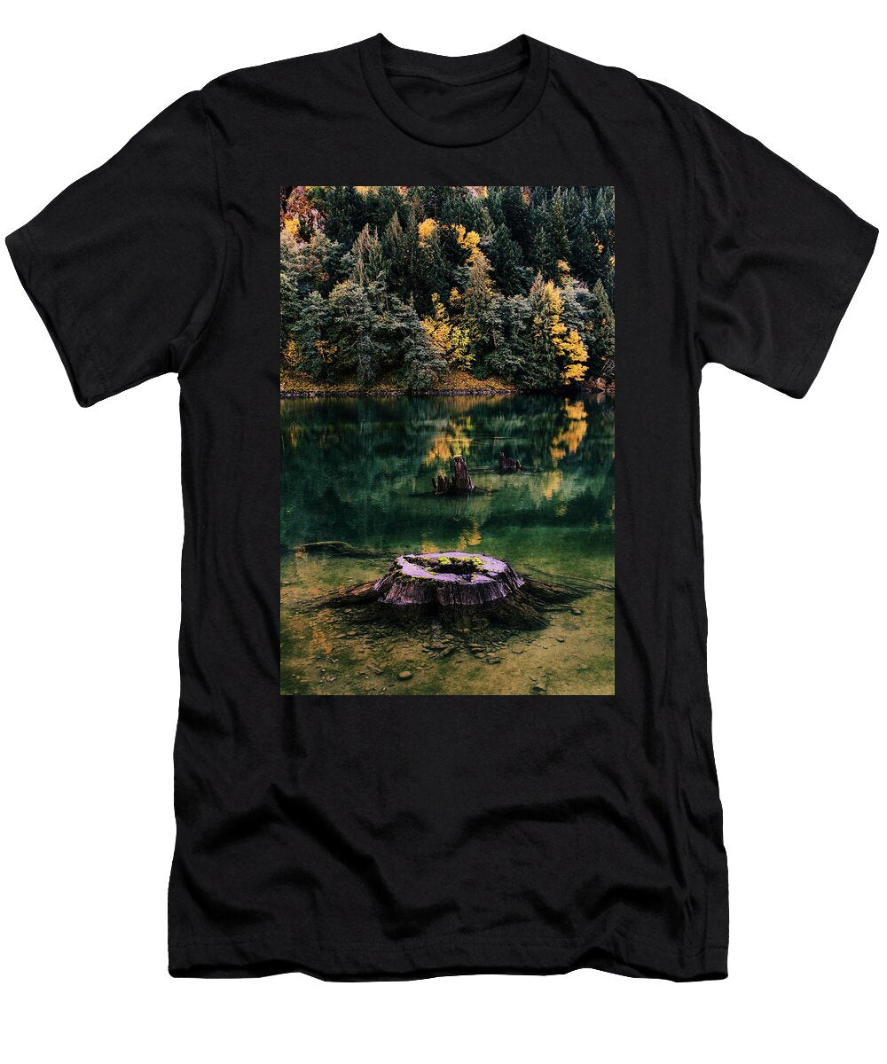 Diablo Lake Tree Stump Benjamin Yeager T-Shirt