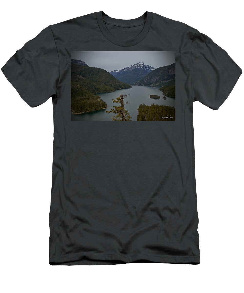 Diablo Ryan Owens T-Shirt