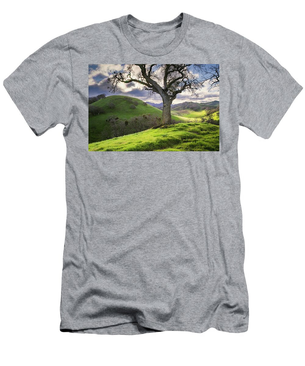 Diablo Winter Hills Vincent James T-Shirt