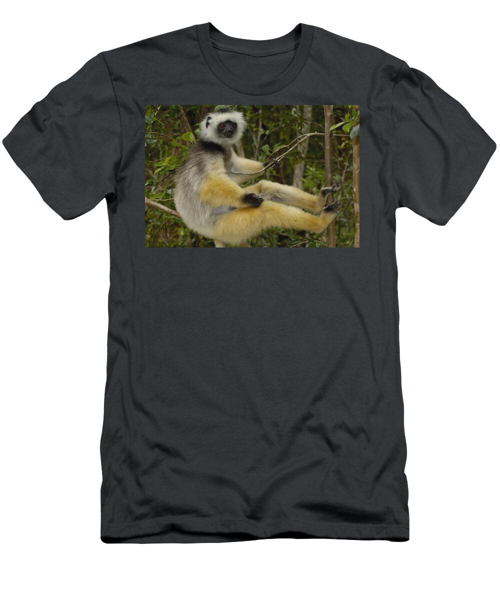 Diademed Sifaka Propithecus Diadema Pete Oxford T-Shirt