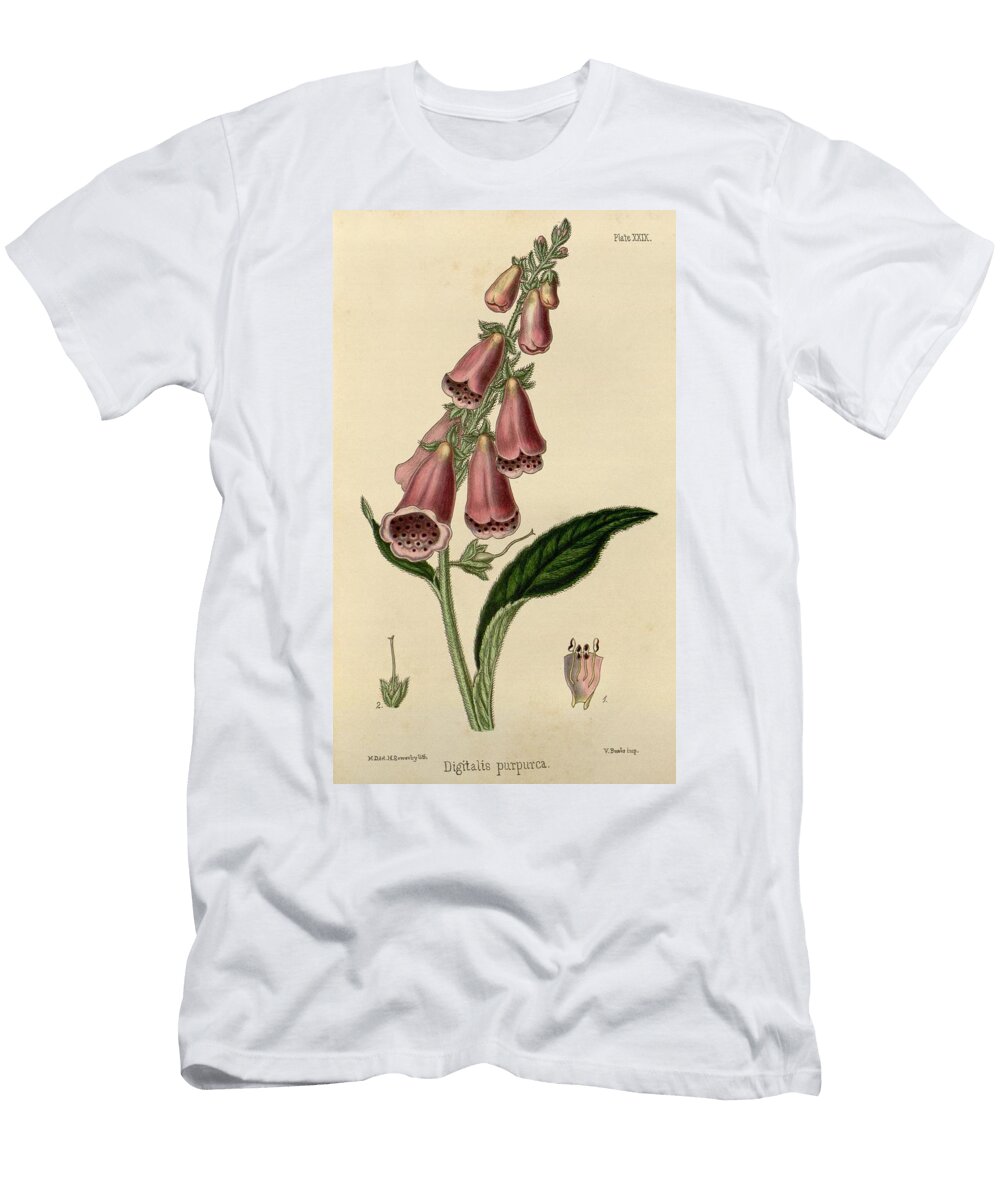 Digitalis H Sowerby T-Shirt