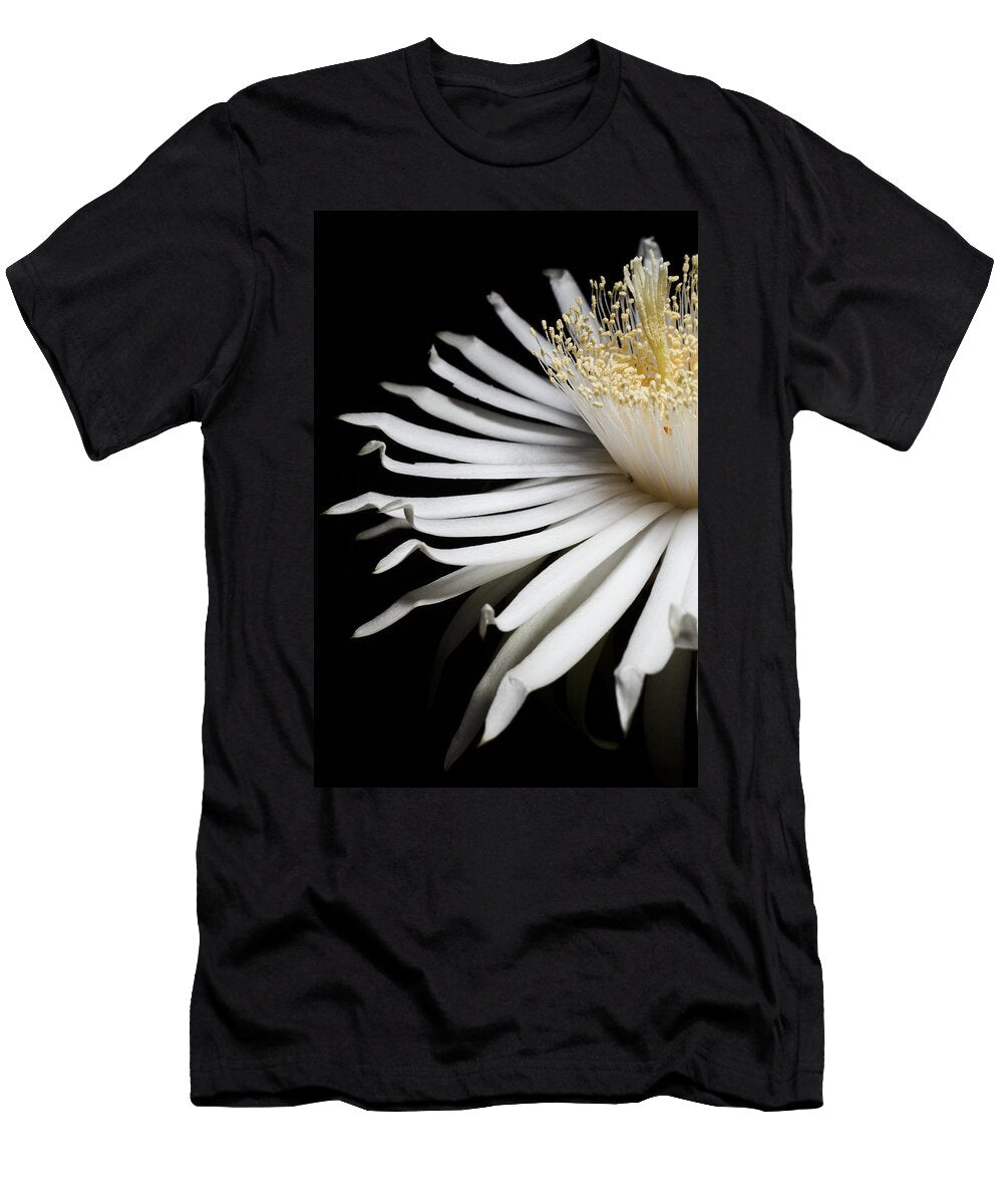 Display Mario Morales Rubi T-Shirt