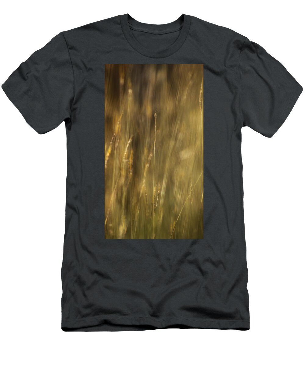 Distant Memories Mario Morales Rubi T-Shirt