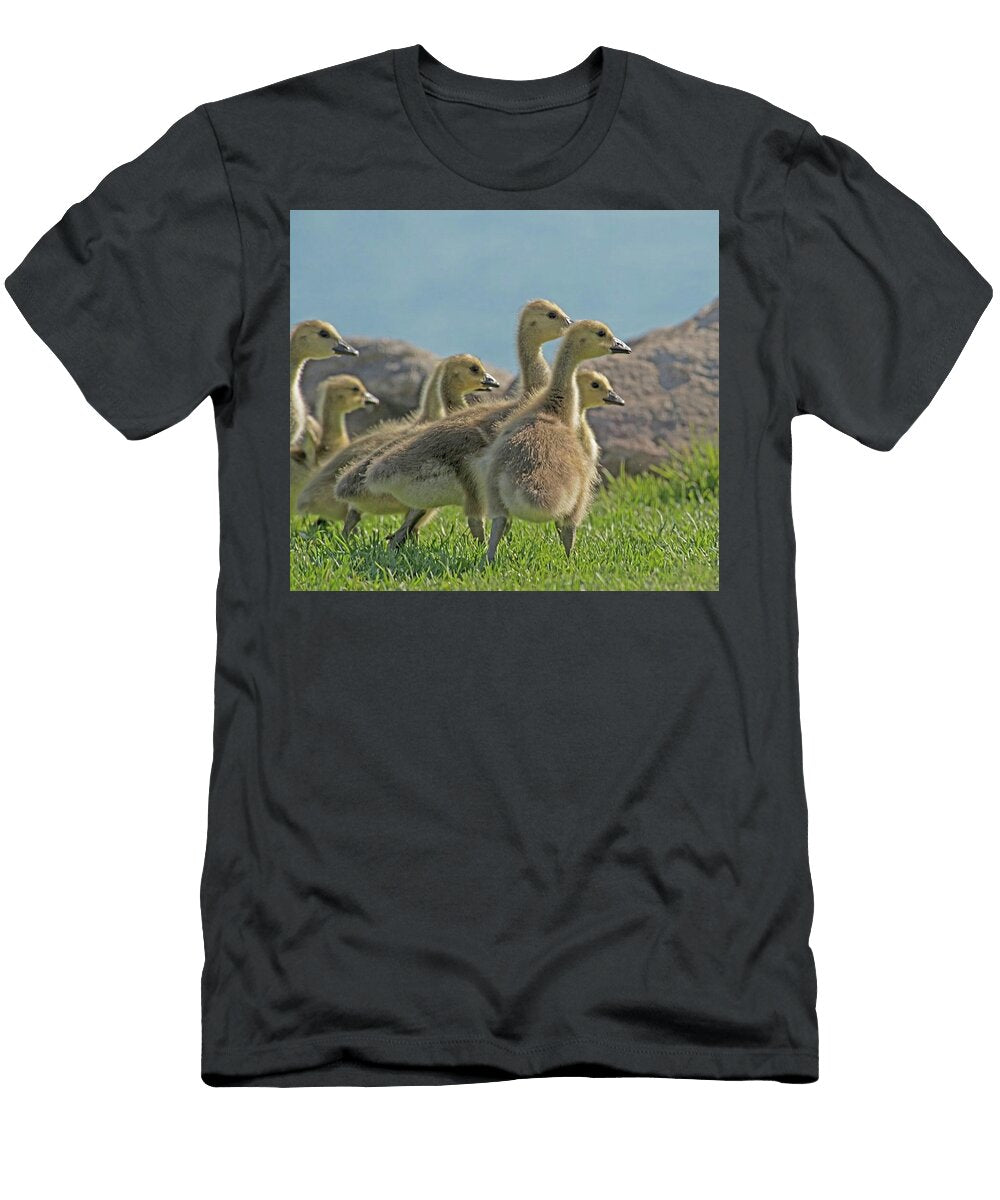 Distracted Fluffballs Goslings At Kempenfelt Bay Shonna Hawkins T-Shirt