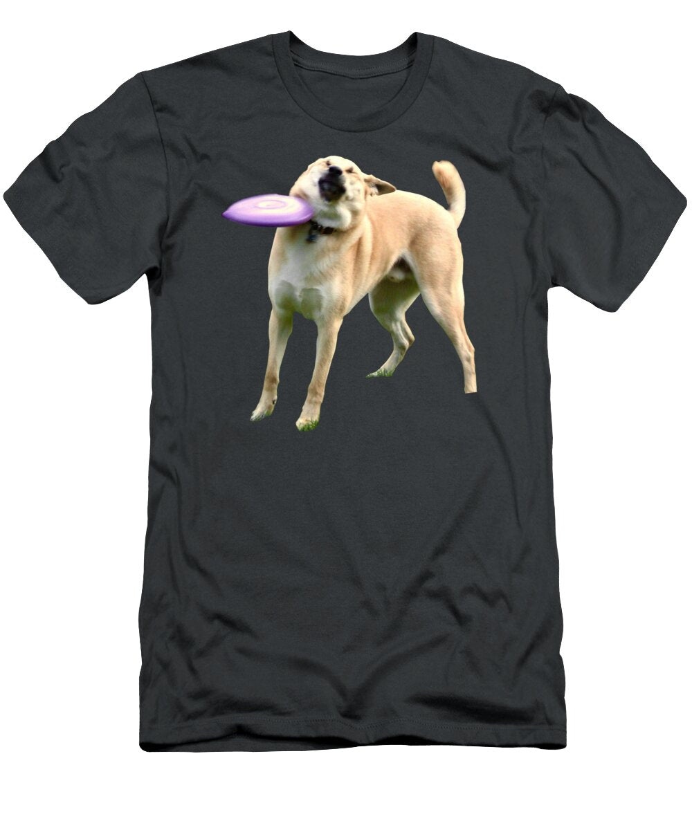 Dog Frisbee Fail Meme Beltschazar T-Shirt