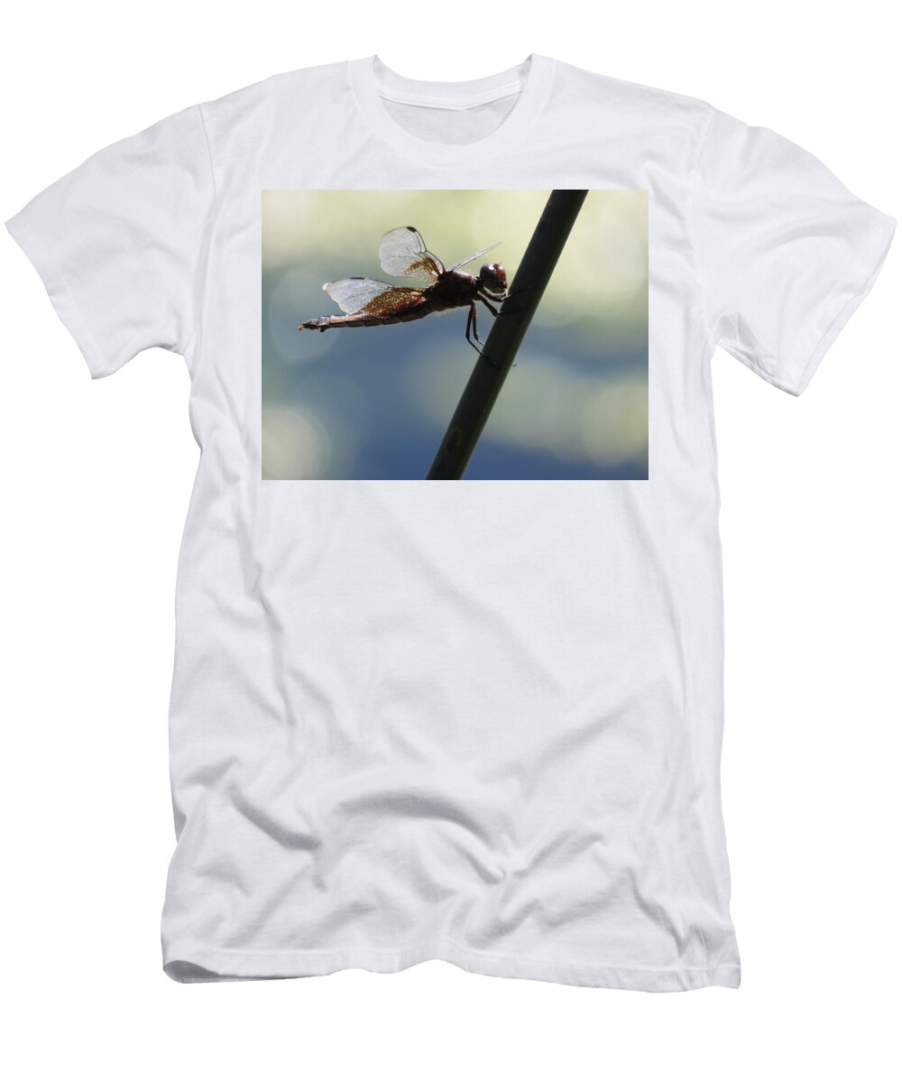 Dragon Clutch Chad Vidas T-Shirt