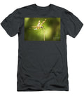 Dragonfly Clutching Fern Blade Ryan Jorgensen T-Shirt