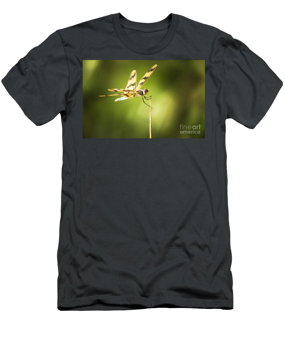 Dragonfly Clutching Fern Blade Ryan Jorgensen T-Shirt