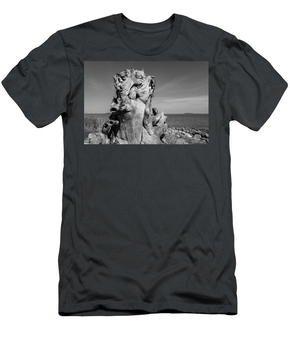 Driftwood Vi Bw David Gordon T-Shirt