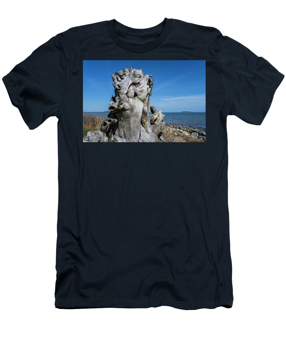 Driftwood Vi Color David Gordon T-Shirt