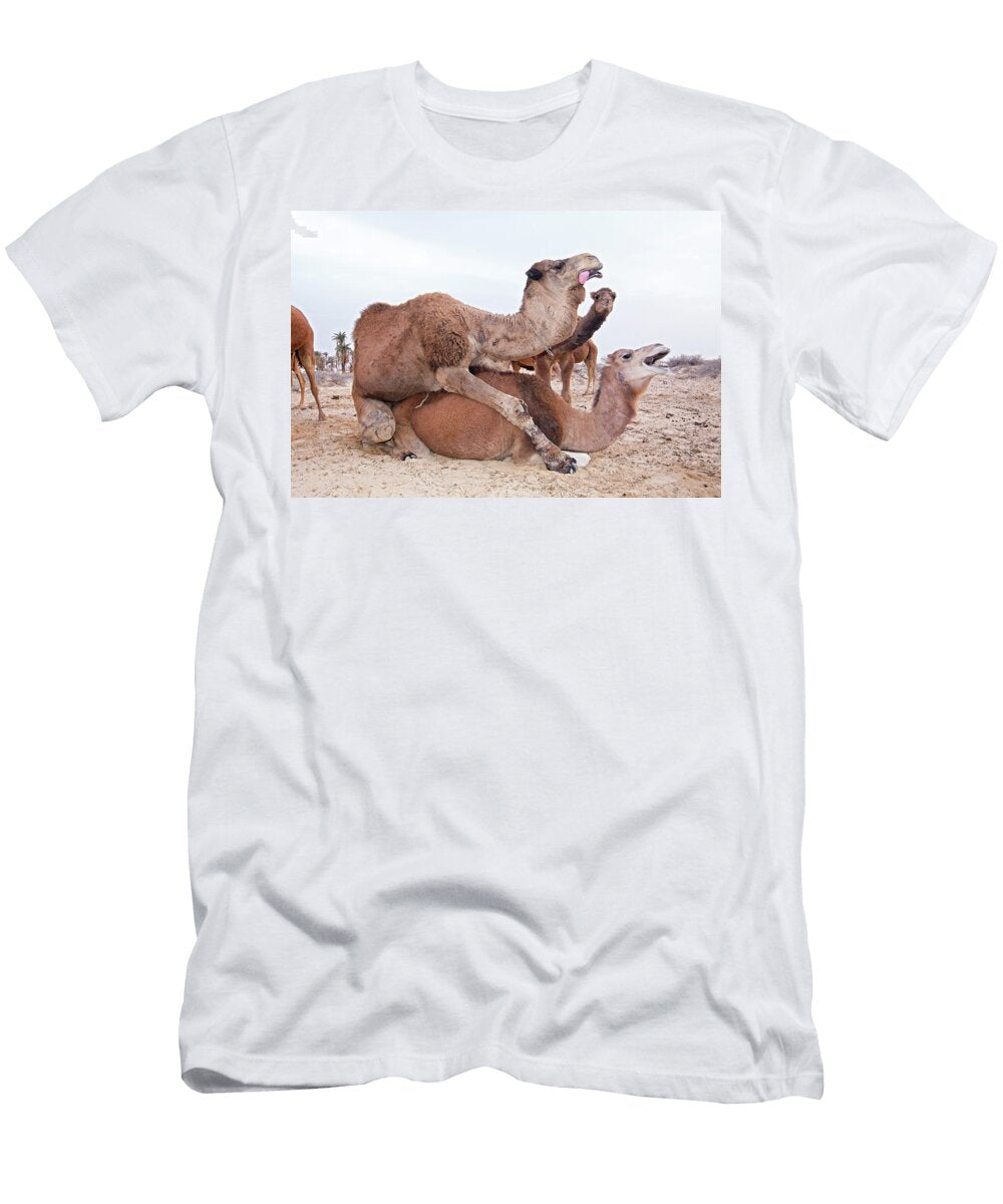 Dromedary Camel Pair Mating Douz Sahara Desert Louis Marie Preau Natureplcom T-Shirt