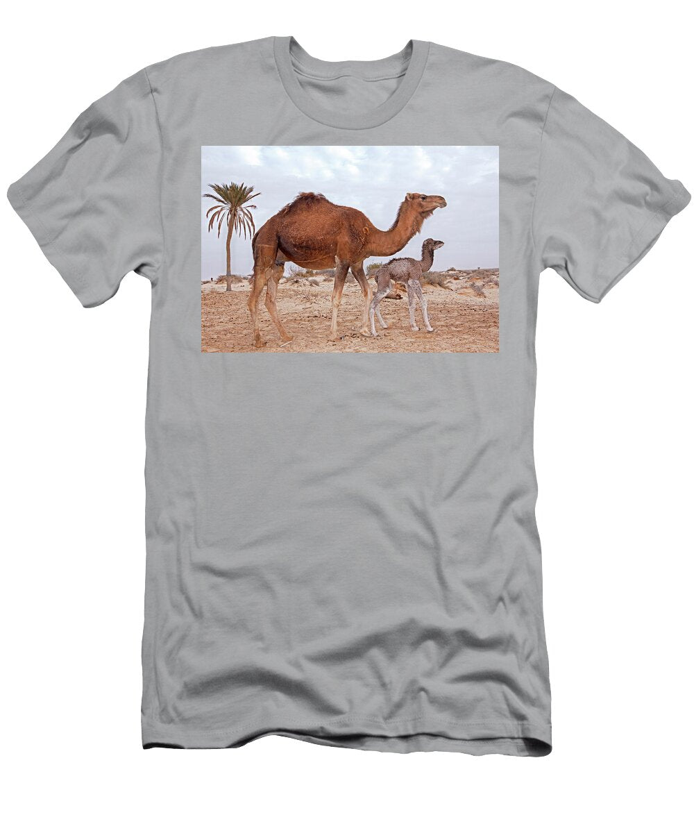 Dromedary Camel with Calf Douz Sahara Desert Louis Marie Preau Natureplcom T-Shirt
