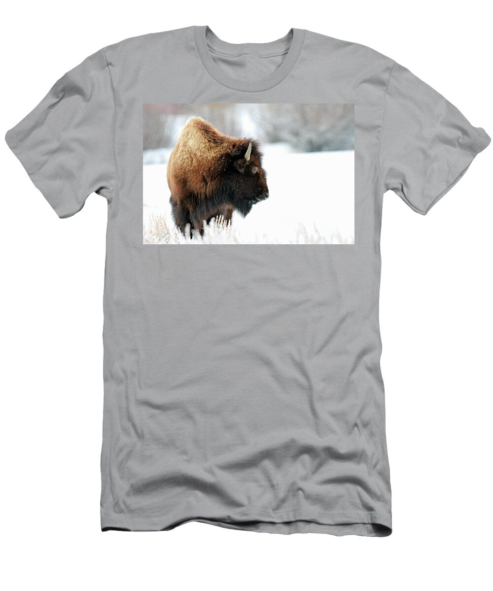 Due North Julie Argyle T-Shirt