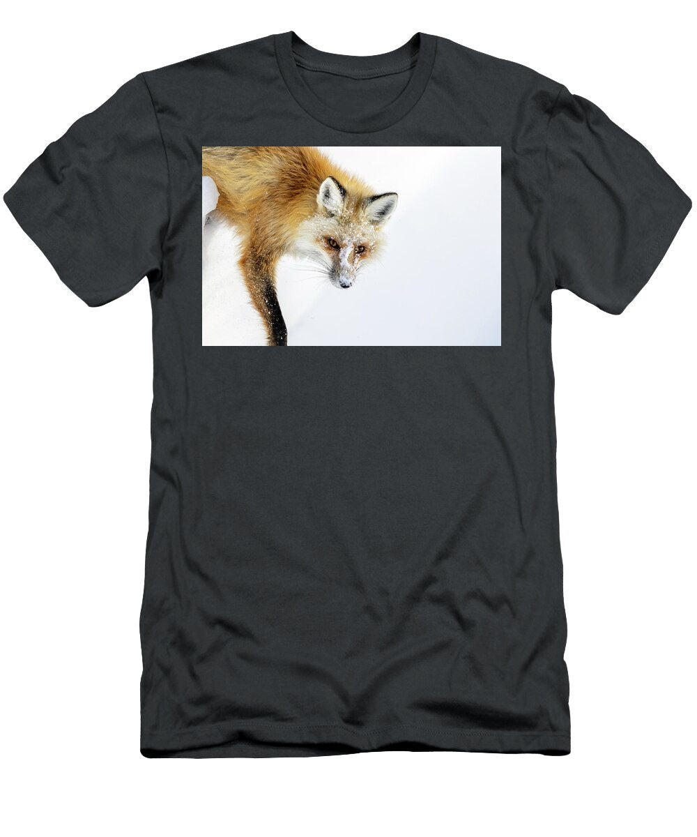 Dusted Julie Argyle T-Shirt