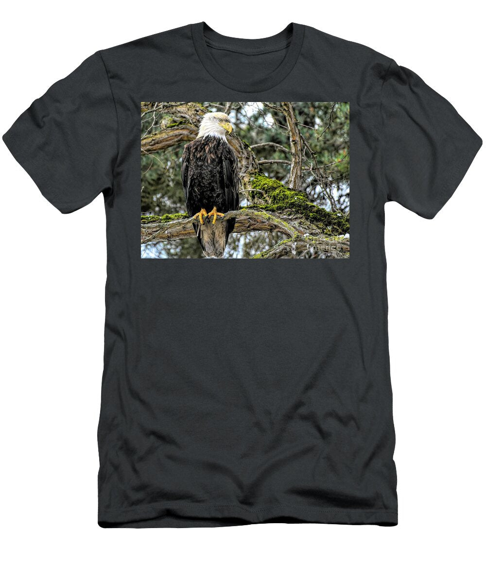 Eagle Overwatch Jennifer Jenson T-Shirt