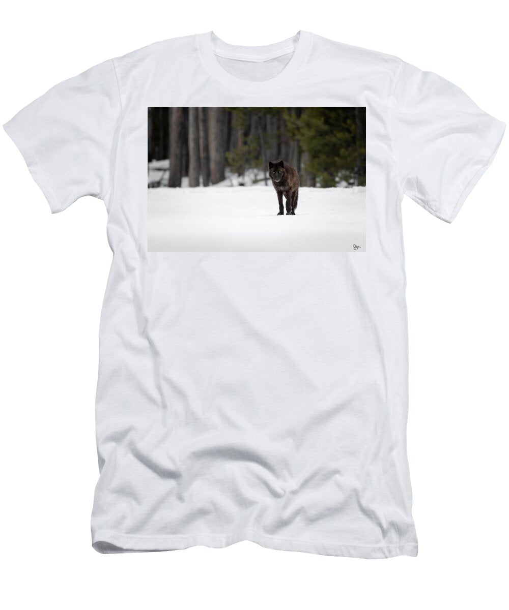 Enchanted Julie Argyle T-Shirt