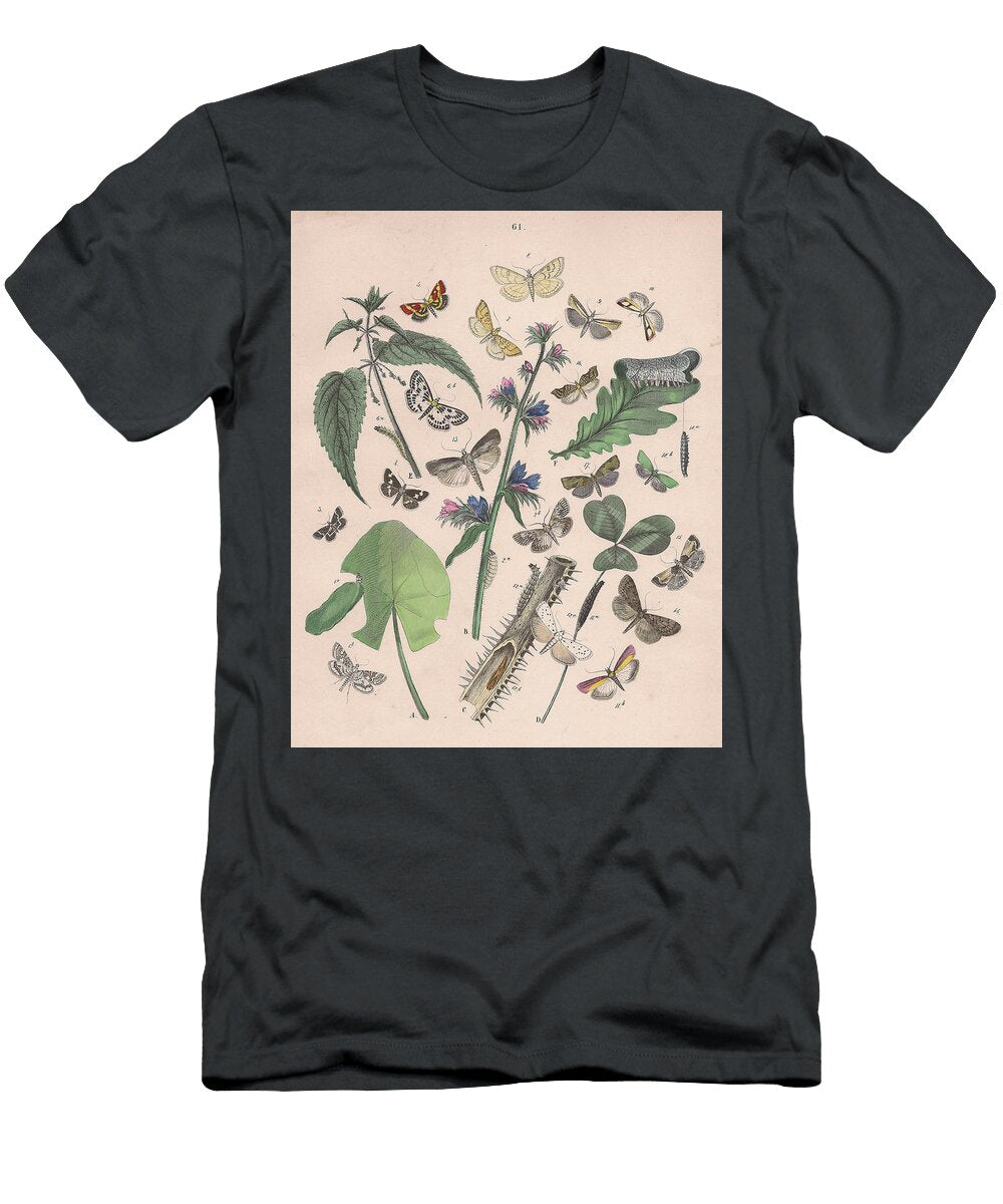 European Butterflies and Moths W F Kirby T-Shirt
