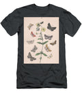 European Butterflies and Moths W Kirby T-Shirt
