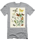 European Butterflies and Moths William Forsell Kirby T-Shirt