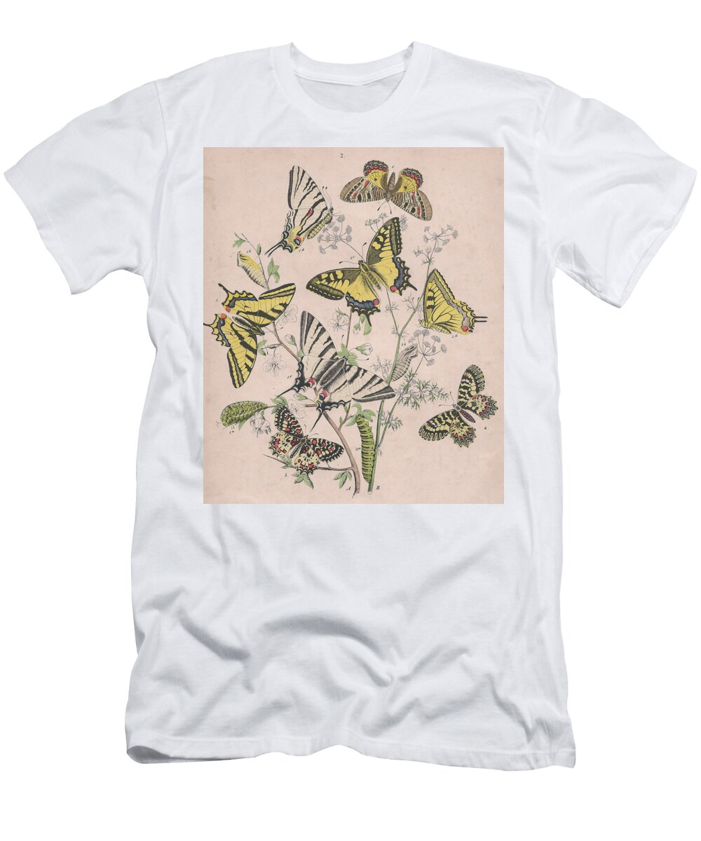 European Butterflies Moths W F Kirby T-Shirt