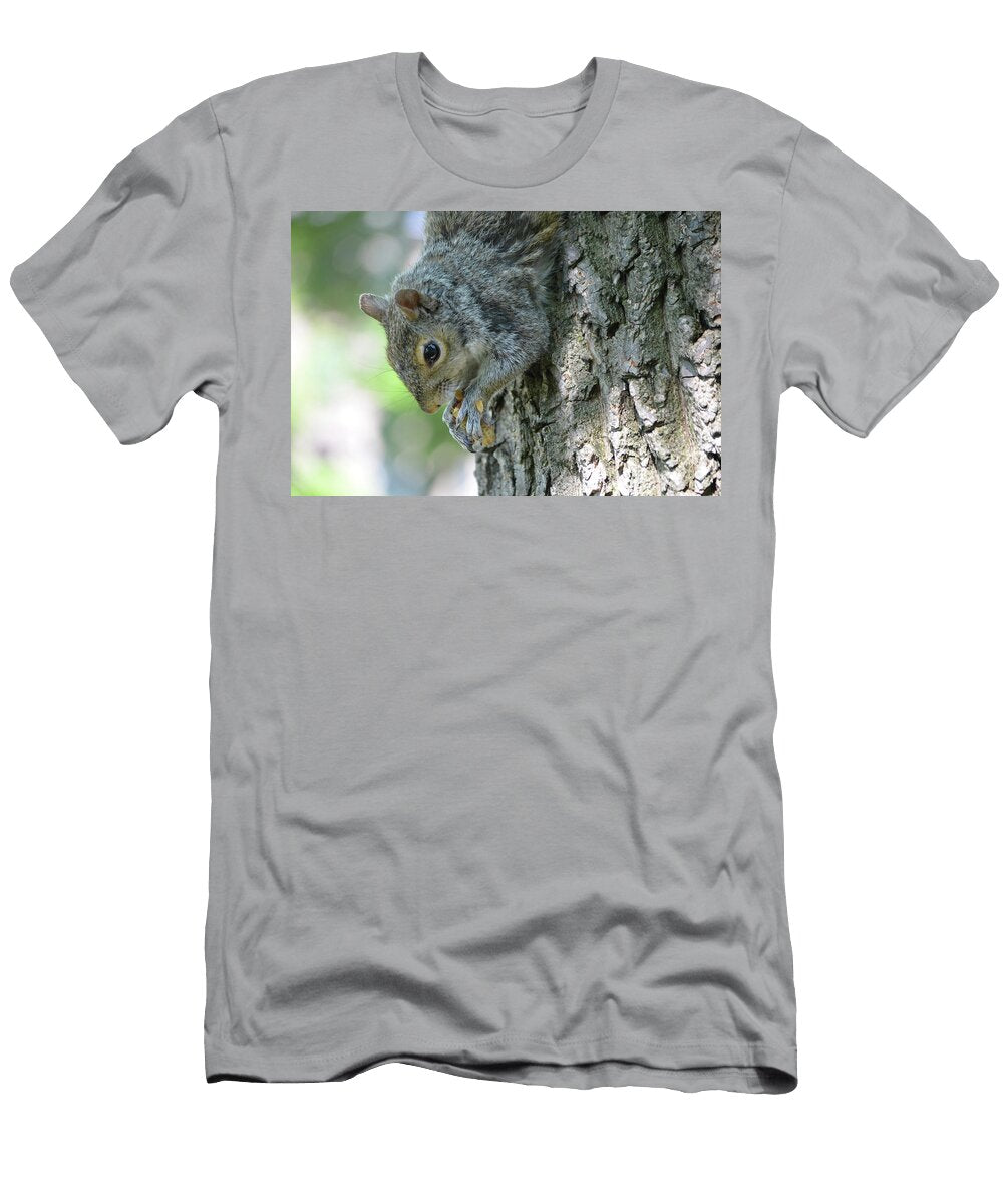 Face of a Squirrel with His Paws Clutching a Nut Dejavu Designs T-Shirt