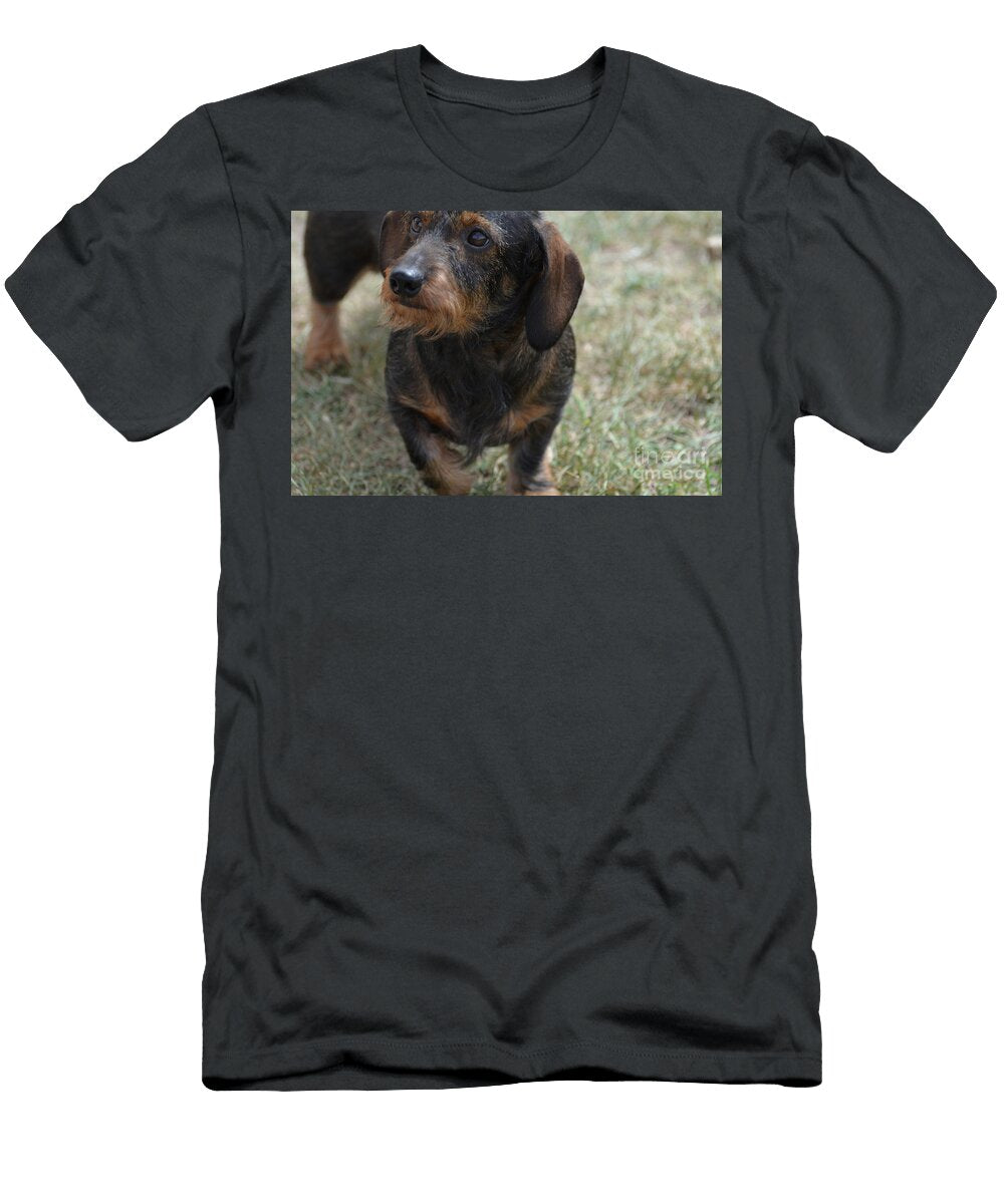 Face of a Wire Haired Dachshund Dog Dejavu Designs T-Shirt
