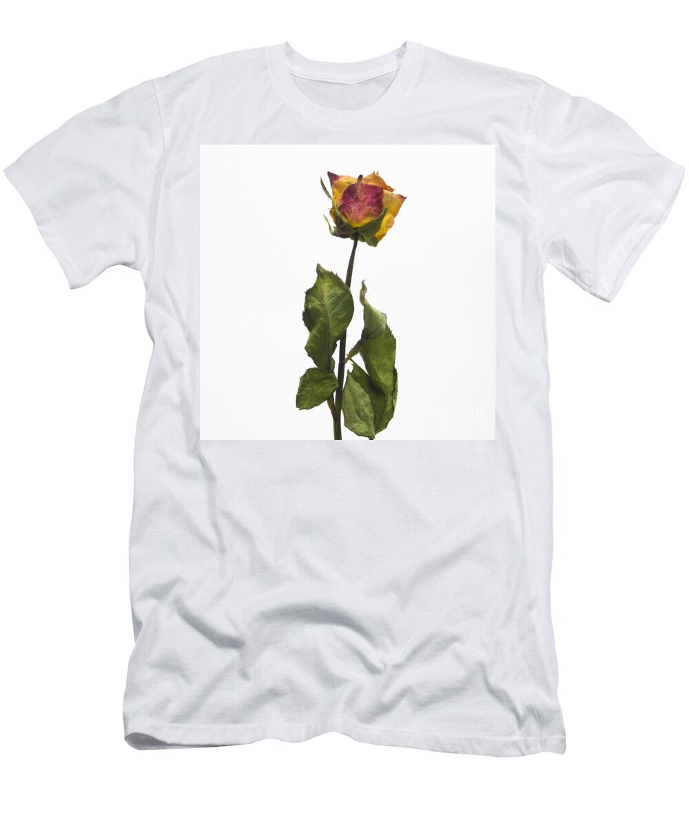 Faded Rose Flower Bernard Jaubert T-Shirt