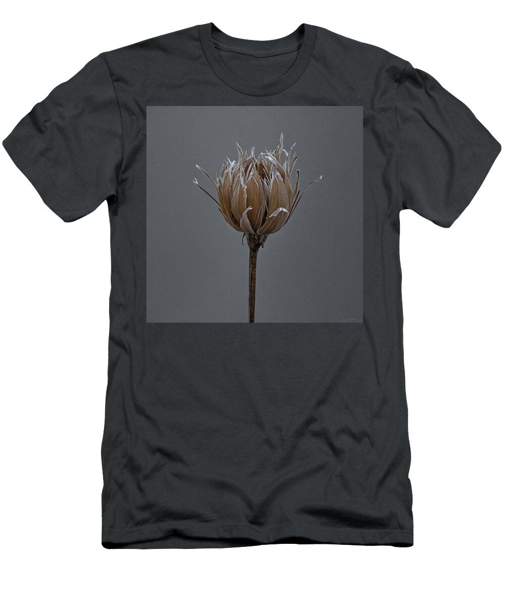 Faded to a Light Brown My Head Cinema T-Shirt